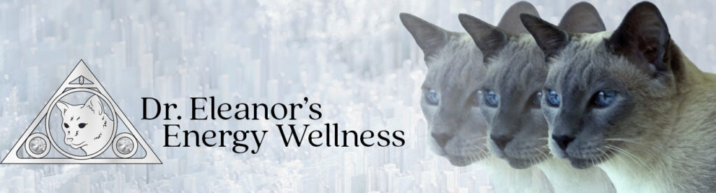 Dr. Eleanors Energy Wellness